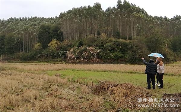 安康市陈老师带着爱徒寻龙点穴